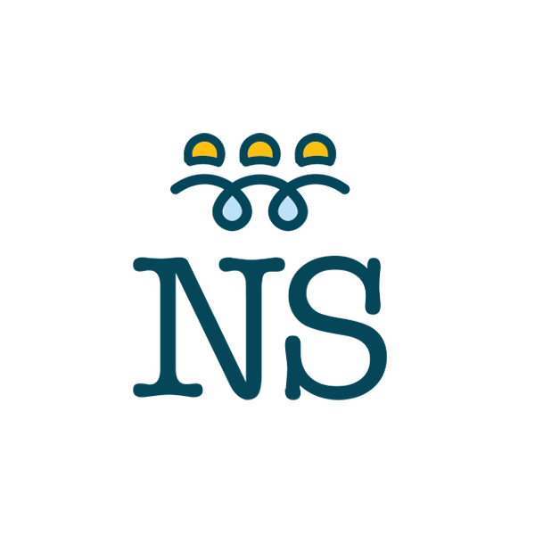 ns-logo